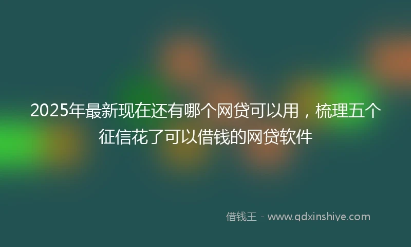 2025年最新现在还有哪个网贷可以用，梳理五个征信花了可以借钱的网贷软件