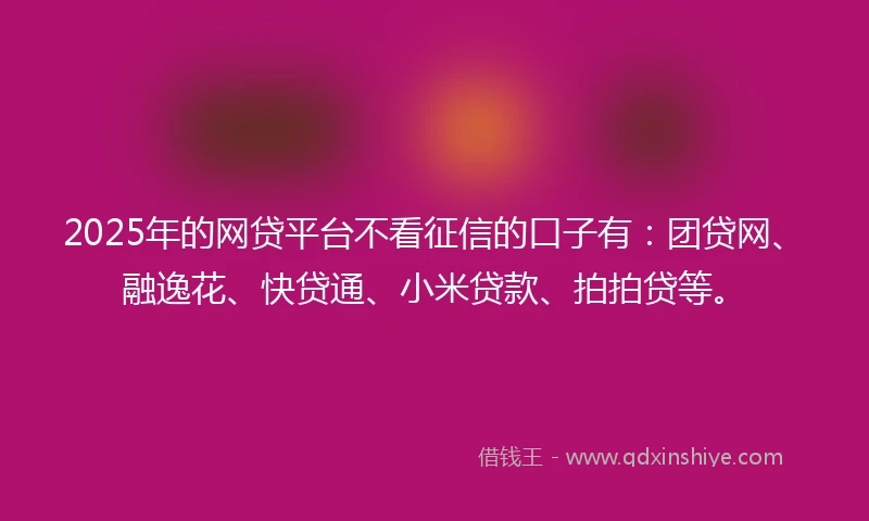 2025年的网贷平台不看征信的口子有：团贷网、融逸花、快贷通、小米贷款、拍拍贷等。