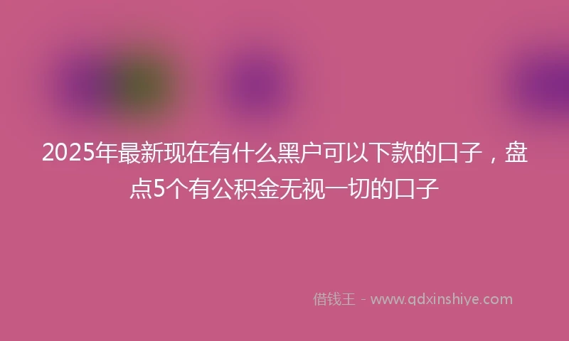 2025年最新现在有什么黑户可以下款的口子，盘点5个有公积金无视一切的口子