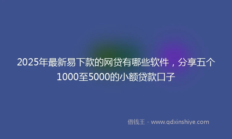 2025年最新易下款的网贷有哪些软件，分享五个1000至5000的小额贷款口子
