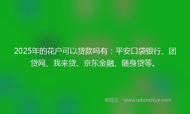 2025年的花户可以贷款吗有：平安口袋银行、团贷网、我来贷、京东金融、随身贷等。