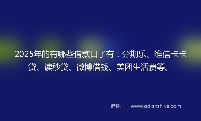 2025年的有哪些借款口子有：分期乐、维信卡卡贷、读秒贷、微博借钱、美团生活费等。