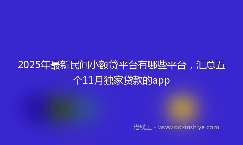 2025年最新民间小额贷平台有哪些平台，汇总五个11月独家贷款的app