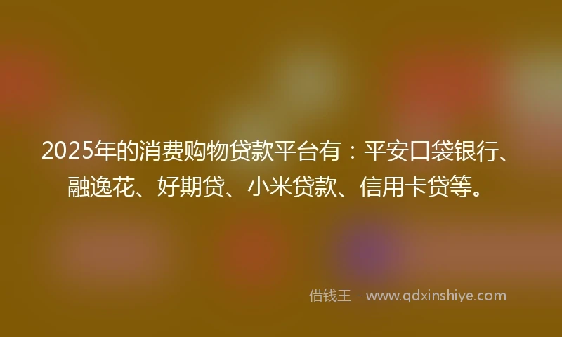 2025年的消费购物贷款平台有：平安口袋银行、融逸花、好期贷、小米贷款、信用卡贷等。