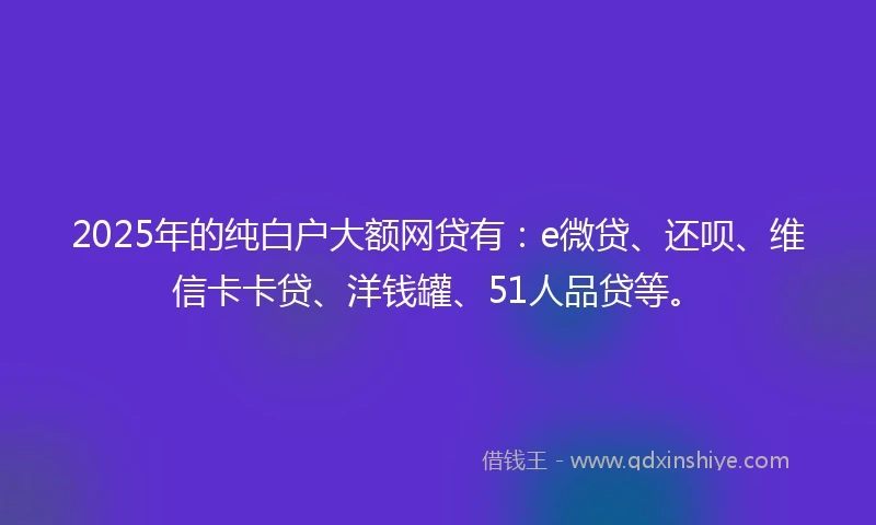 2025年的纯白户大额网贷有：e微贷、还呗、维信卡卡贷、洋钱罐、51人品贷等。