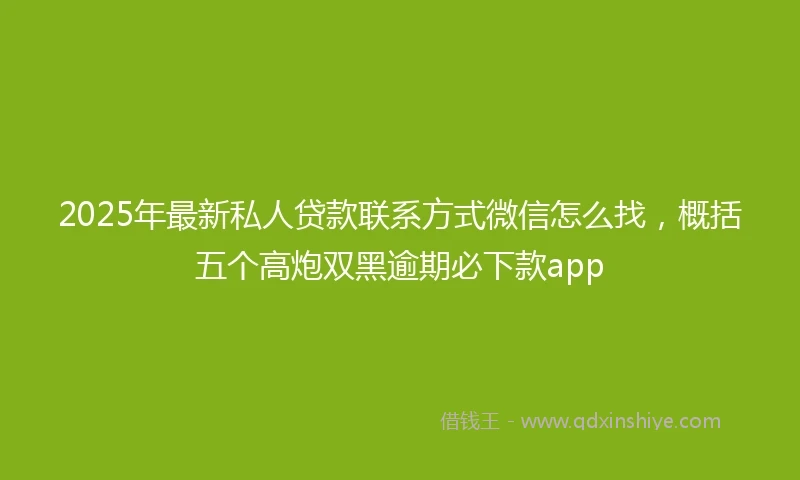 2025年最新私人贷款联系方式微信怎么找，概括五个高炮双黑逾期必下款app