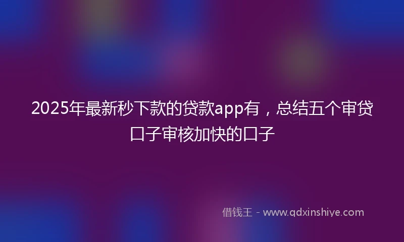 2025年最新秒下款的贷款app有，总结五个审贷口子审核加快的口子