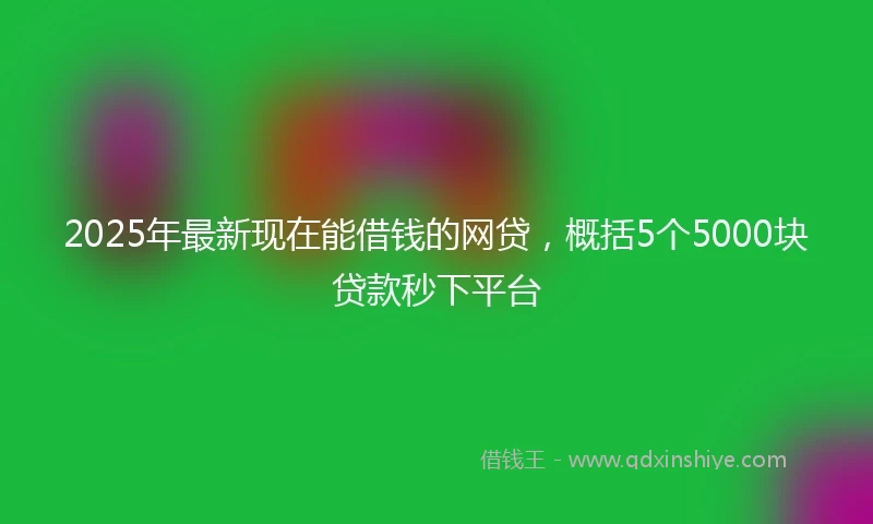 2025年最新现在能借钱的网贷，概括5个5000块贷款秒下平台
