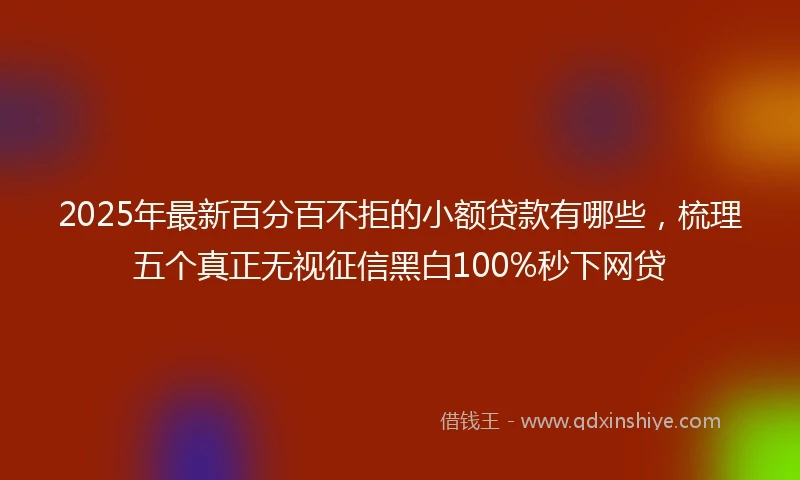 2025年最新百分百不拒的小额贷款有哪些，梳理五个真正无视征信黑白100%秒下网贷