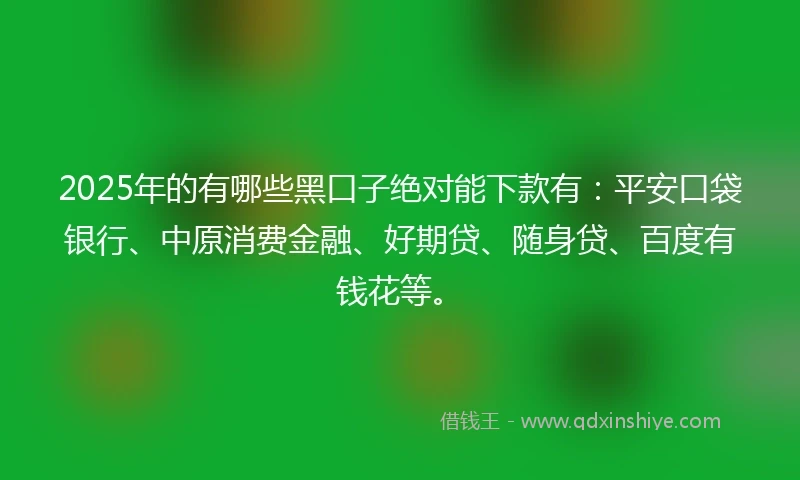 2025年的有哪些黑口子绝对能下款有:平安口袋银行、中原消费金融、好期贷、随身贷、百度有钱花等。