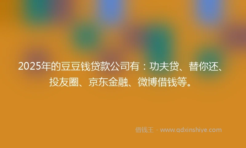 2025年的豆豆钱贷款公司有：功夫贷、替你还、投友圈、京东金融、微博借钱等。