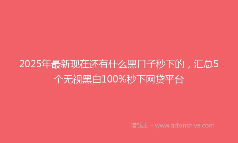 2025年最新现在还有什么黑口子秒下的，汇总5个无视黑白100%秒下网贷平台