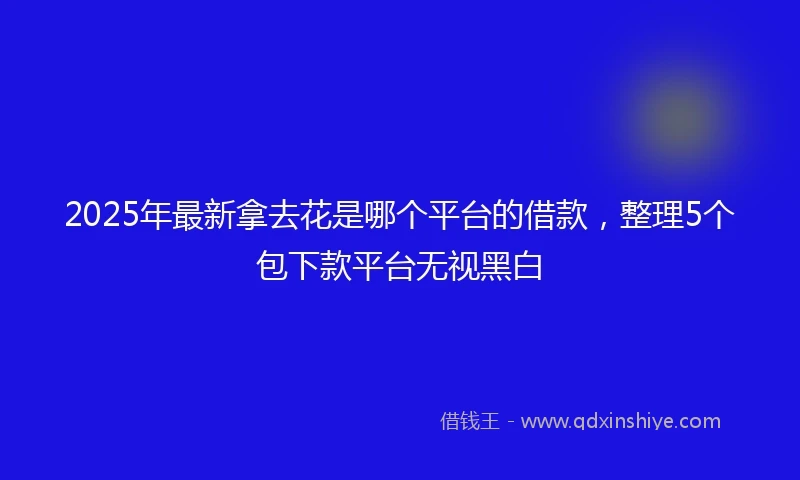 2025年最新拿去花是哪个平台的借款，整理5个包下款平台无视黑白