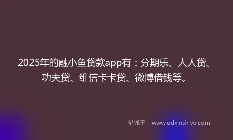 2025年的融小鱼贷款app有：分期乐、人人贷、功夫贷、维信卡卡贷、微博借钱等。