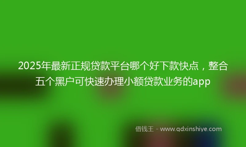 2025年最新正规贷款平台哪个好下款快点，整合五个黑户可快速办理小额贷款业务的app