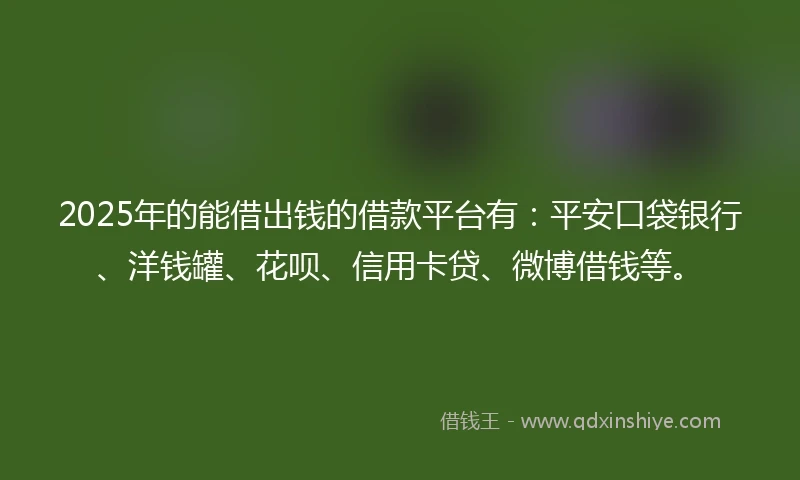 2025年的能借出钱的借款平台有：平安口袋银行、洋钱罐、花呗、信用卡贷、微博借钱等。