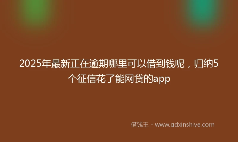 2025年最新正在逾期哪里可以借到钱呢，归纳5个征信花了能网贷的app