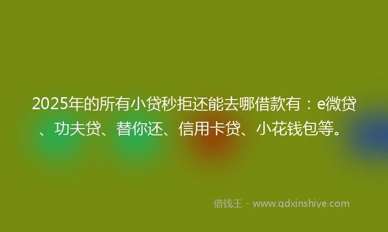 2025年的所有小贷秒拒还能去哪借款有：e微贷、功夫贷、替你还、信用卡贷、小花钱包等。