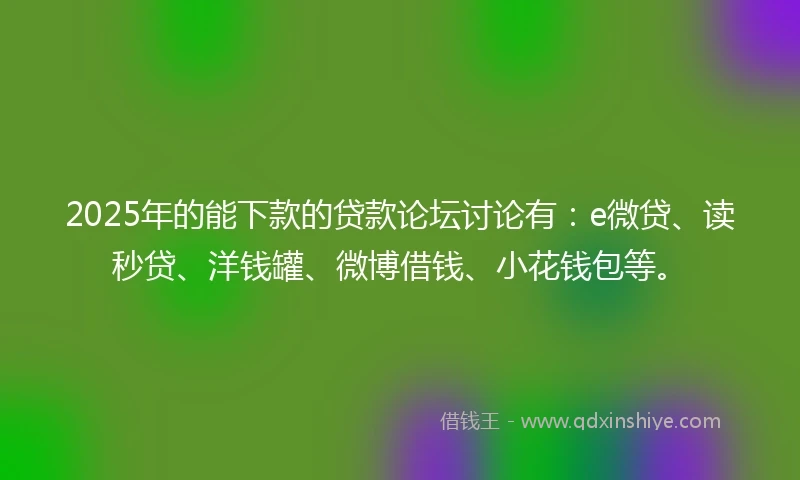 2025年的能下款的贷款论坛讨论有：e微贷、读秒贷、洋钱罐、微博借钱、小花钱包等。