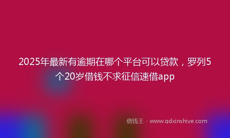 2025年最新有逾期在哪个平台可以贷款，罗列5个20岁借钱不求征信速借app
