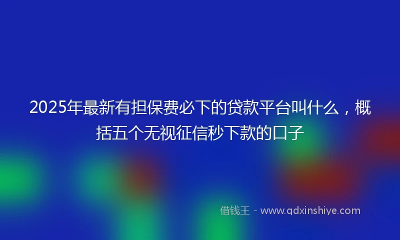 2025年最新有担保费必下的贷款平台叫什么，概括五个无视征信秒下款的口子
