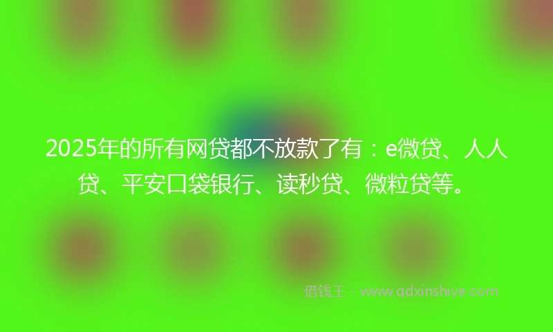2025年的所有网贷都不放款了有：e微贷、人人贷、平安口袋银行、读秒贷、微粒贷等。