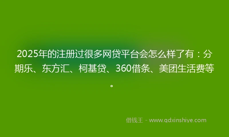 2025年的注册过很多网贷平台会怎么样了有：分期乐、东方汇、柯基贷、360借条、美团生活费等。