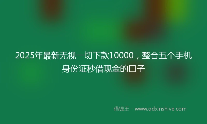 2025年最新无视一切下款10000，整合五个手机身份证秒借现金的口子
