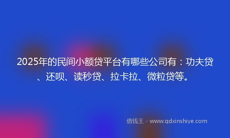 2025年的民间小额贷平台有哪些公司有：功夫贷、还呗、读秒贷、拉卡拉、微粒贷等。