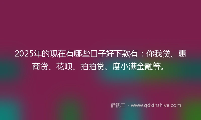 2025年的现在有哪些口子好下款有：你我贷、惠商贷、花呗、拍拍贷、度小满金融等。