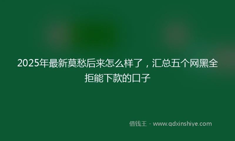 2025年最新莫愁后来怎么样了，汇总五个网黑全拒能下款的口子