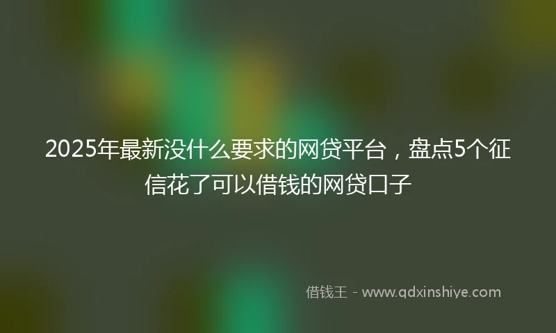 2025年最新没什么要求的网贷平台，盘点5个征信花了可以借钱的网贷口子