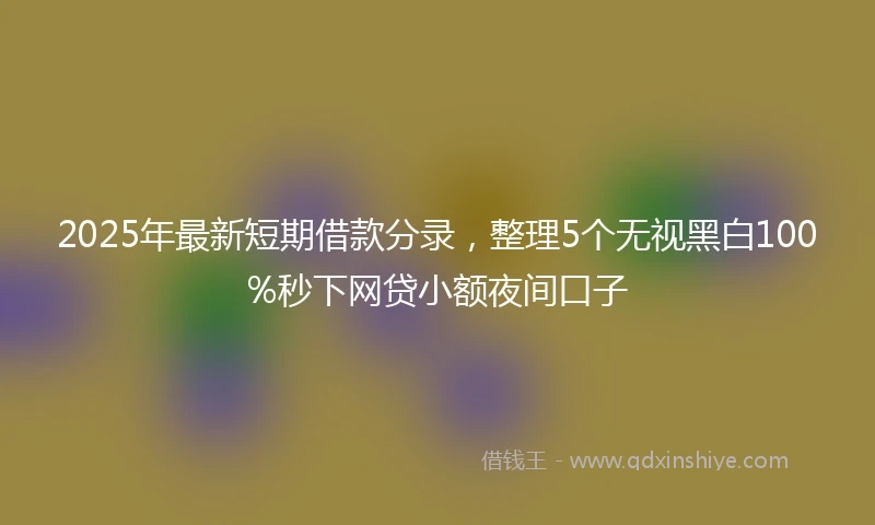 2025年最新短期借款分录，整理5个无视黑白100%秒下网贷小额夜间口子
