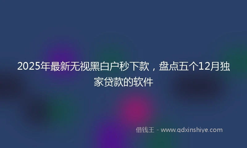 2025年最新无视黑白户秒下款，盘点五个12月独家贷款的软件