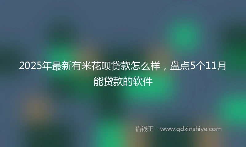 2025年最新有米花呗贷款怎么样，盘点5个11月能贷款的软件