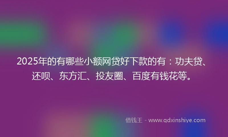 2025年的有哪些小额网贷好下款的有：功夫贷、还呗、东方汇、投友圈、百度有钱花等。
