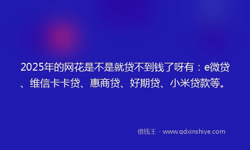 2025年的网花是不是就贷不到钱了呀有：e微贷、维信卡卡贷、惠商贷、好期贷、小米贷款等。