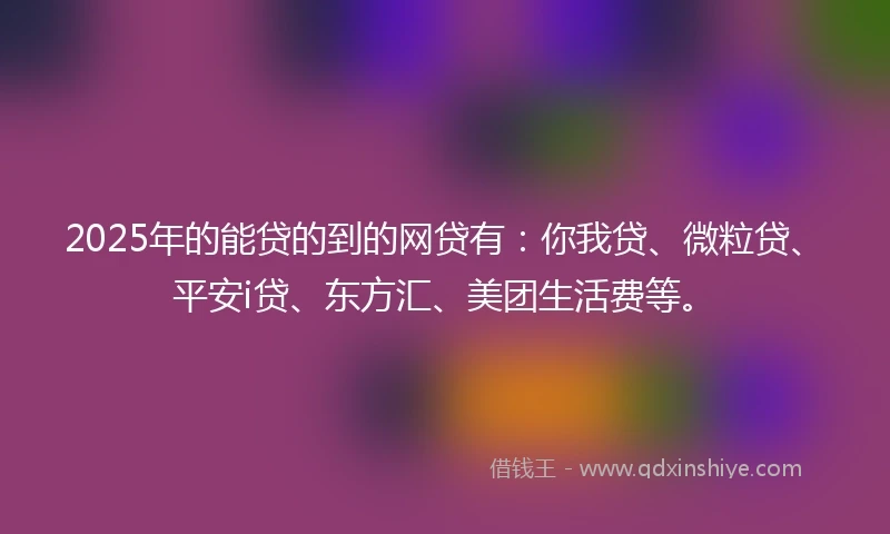 2025年的能贷的到的网贷有：你我贷、微粒贷、平安i贷、东方汇、美团生活费等。
