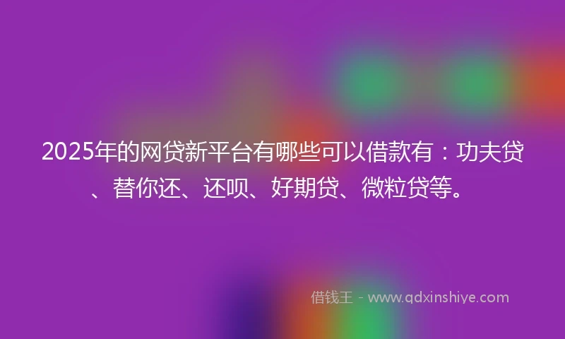 2025年的网贷新平台有哪些可以借款有：功夫贷、替你还、还呗、好期贷、微粒贷等。