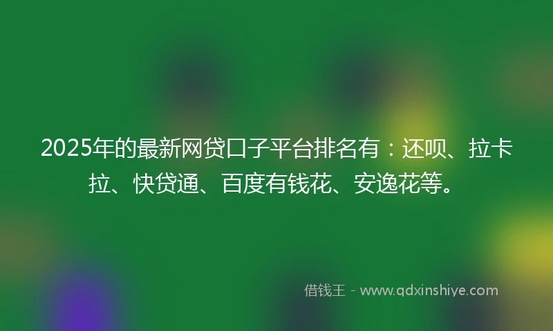2025年的最新网贷口子平台排名有：还呗、拉卡拉、快贷通、百度有钱花、安逸花等。