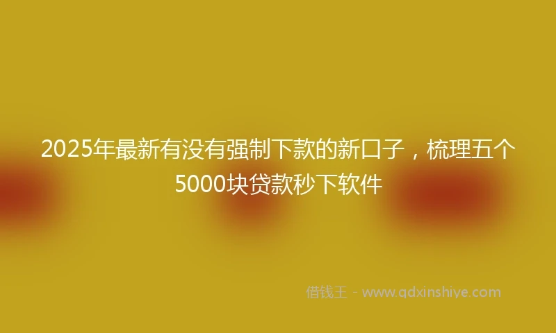 2025年最新有没有强制下款的新口子，梳理五个5000块贷款秒下软件