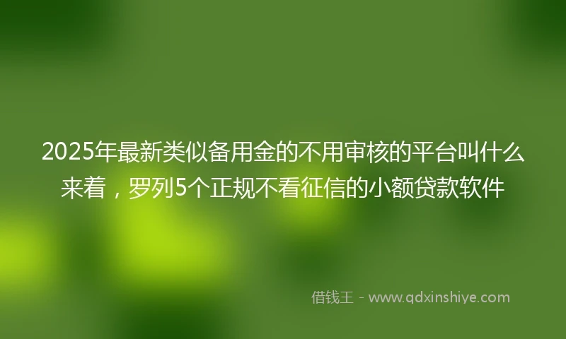2025年最新类似备用金的不用审核的平台叫什么来着，罗列5个正规不看征信的小额贷款软件