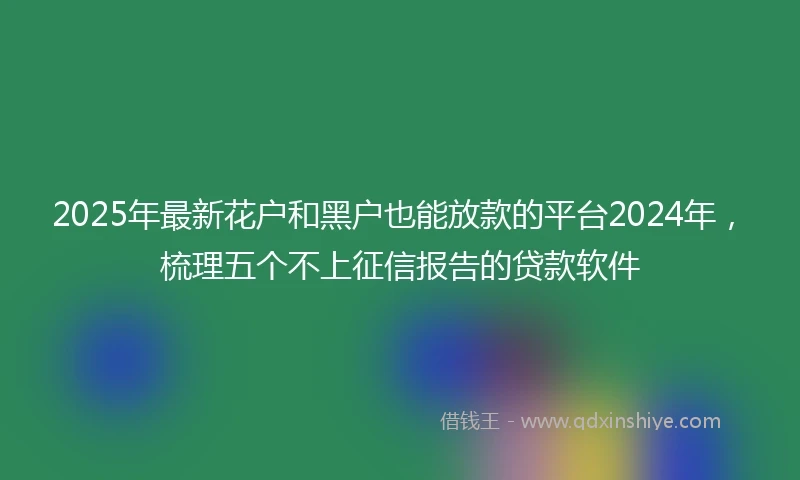 2025年最新花户和黑户也能放款的平台2024年，梳理五个不上征信报告的贷款软件
