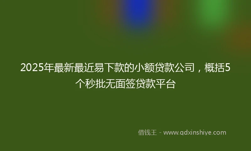 2025年最新最近易下款的小额贷款公司，概括5个秒批无面签贷款平台
