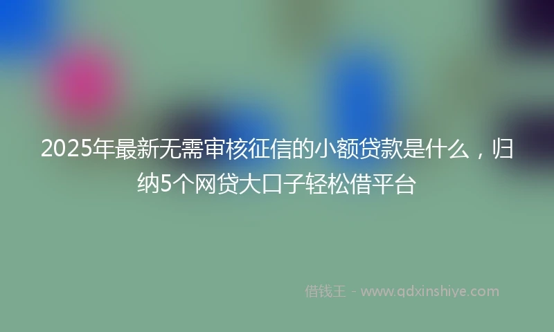 2025年最新无需审核征信的小额贷款是什么，归纳5个网贷大口子轻松借平台