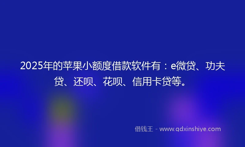 2025年的苹果小额度借款软件有：e微贷、功夫贷、还呗、花呗、信用卡贷等。