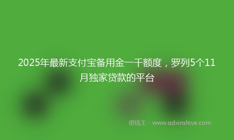 2025年最新支付宝备用金一千额度，罗列5个11月独家贷款的平台