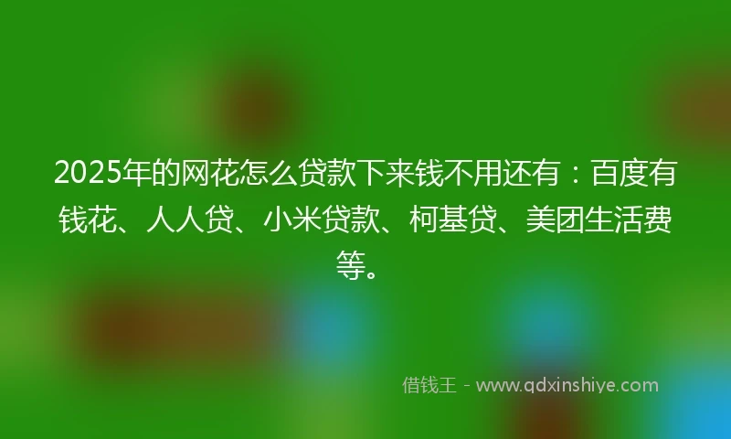 2025年的网花怎么贷款下来钱不用还有：百度有钱花、人人贷、小米贷款、柯基贷、美团生活费等。