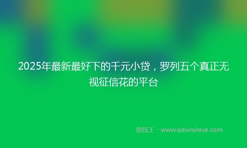 2025年最新最好下的千元小贷，罗列五个真正无视征信花的平台