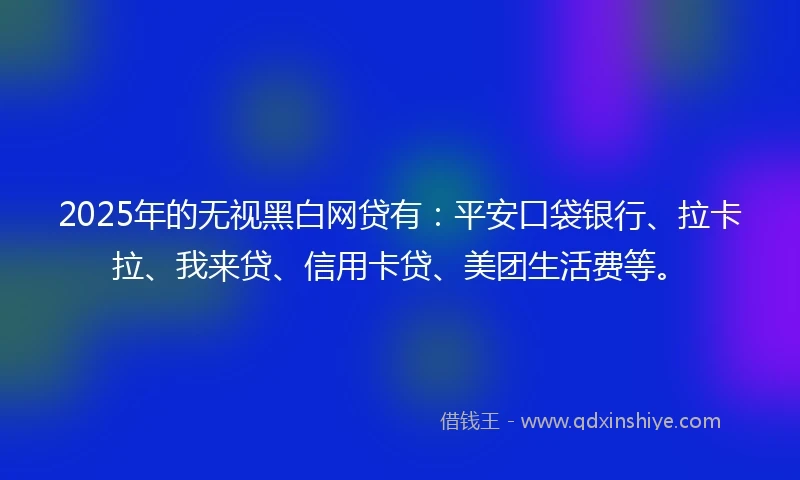 2025年的无视黑白网贷有：平安口袋银行、拉卡拉、我来贷、信用卡贷、美团生活费等。